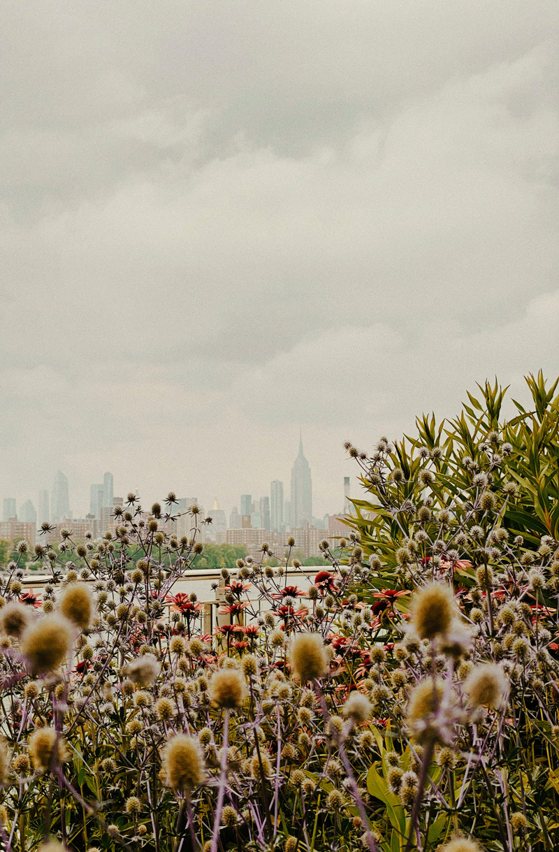 Manhattan skyline view from CORE Rego Park's rooftop garden, showcasing urban nature and stunning cityscapes.
