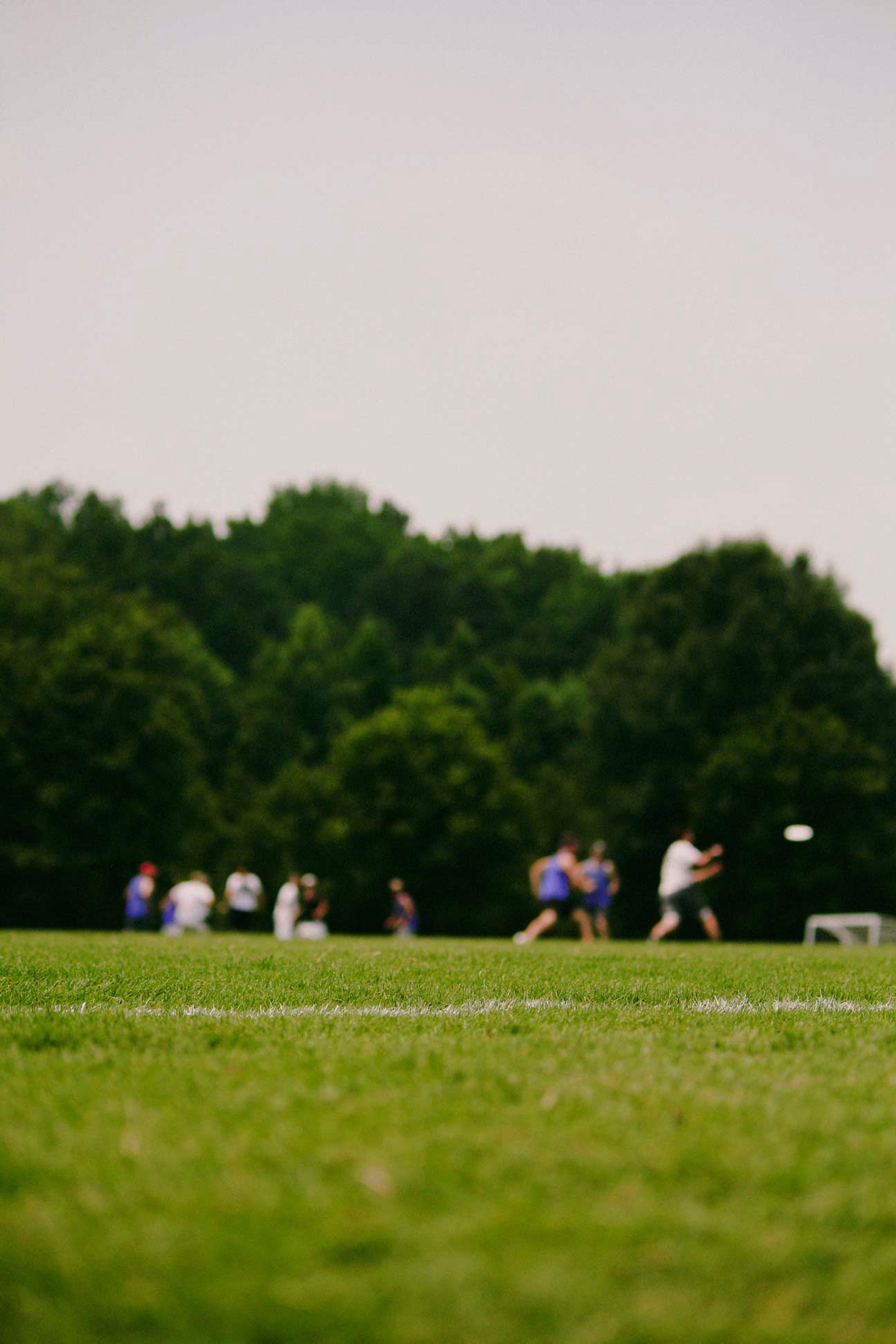People playing ball at a park lawn near CORE Rego Park's new luxury apartments for rent.