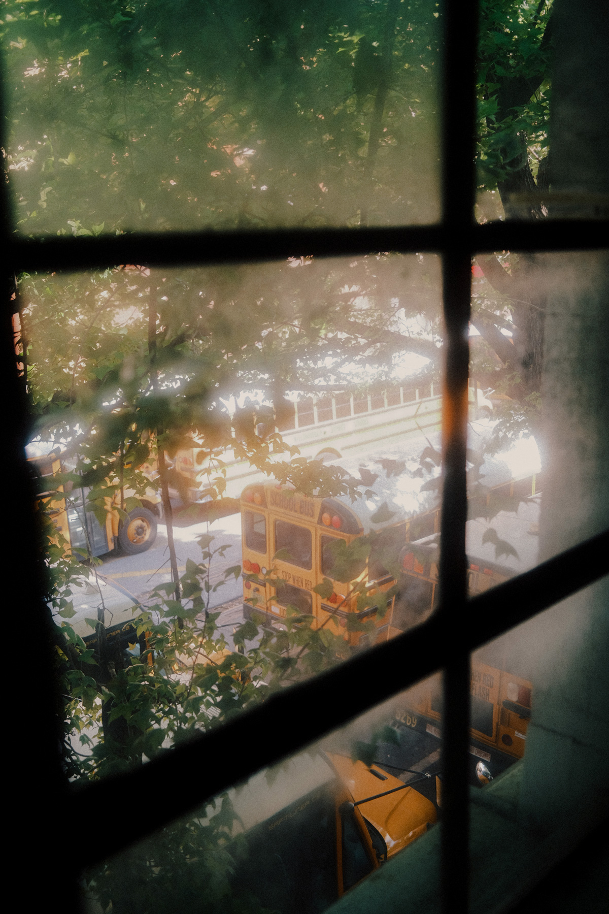 School buses on street viewed from window in Rego Park near CORE Rego NYC's new luxury rentals in Queens.